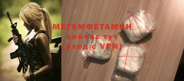 индика Дмитриев