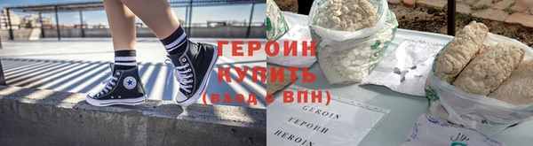 индика Дмитриев