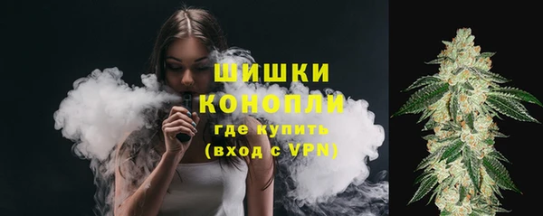 ПСИЛОЦИБИНОВЫЕ ГРИБЫ Дмитровск