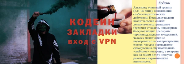 индика Дмитриев