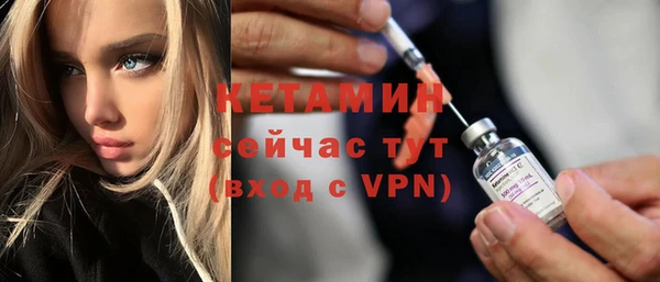 индика Дмитриев