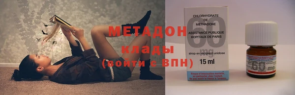 индика Дмитриев