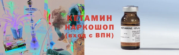 индика Дмитриев