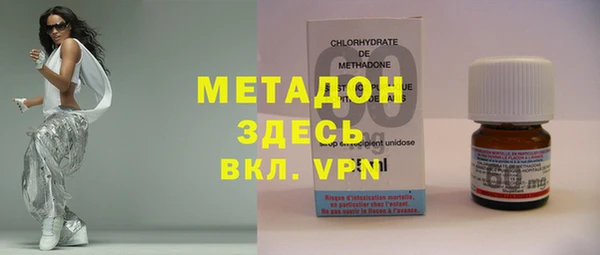 индика Дмитриев