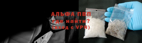 индика Дмитриев