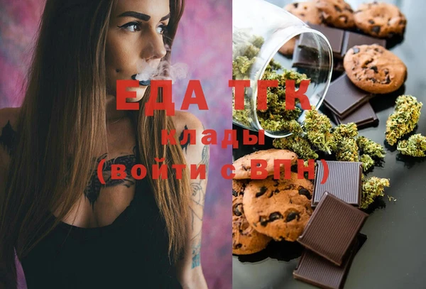 индика Дмитриев