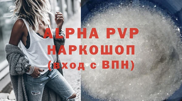 индика Дмитриев