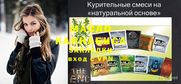 индика Дмитриев