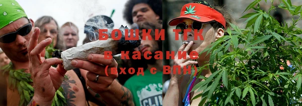 индика Дмитриев