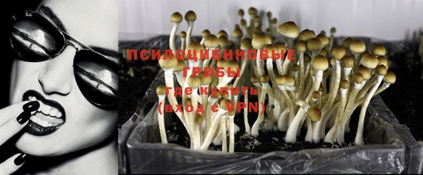 ПСИЛОЦИБИНОВЫЕ ГРИБЫ Дмитровск