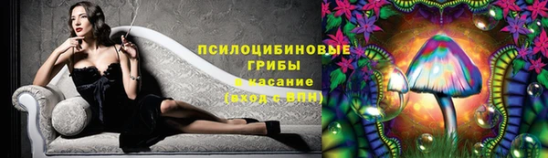 ПСИЛОЦИБИНОВЫЕ ГРИБЫ Дмитровск
