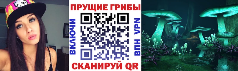 OMG tor дарнет шоп Перевоз Псилоцибиновые грибы Magic Shrooms